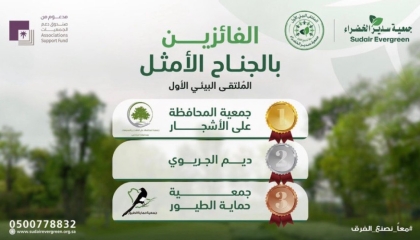 الفوز بالجناح الأمثل 